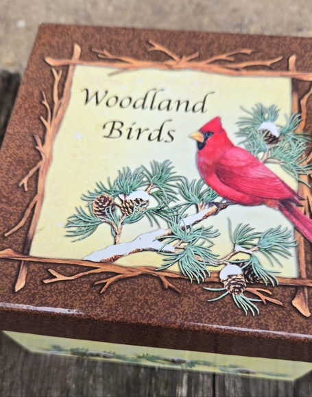 4 Woodland Birds Porcelain Miniplates Set In Box Raffia Hangers Decor - Picture 2 of 8